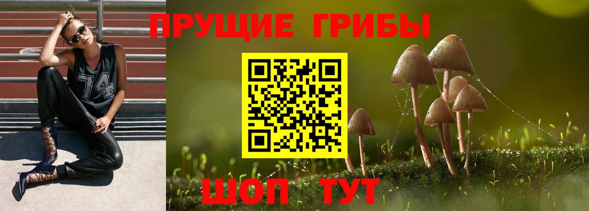 Галлюциногенные грибы Psilocybe  Галлюциногенные грибы мухоморы  Вход с VPN  Бирск 