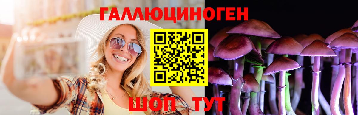 Галлюциногенные грибы Psilocybe Бирск